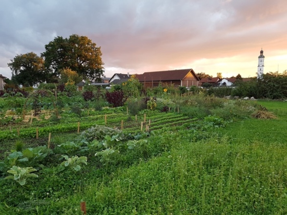 Hofgarten Pfaffenwinkel