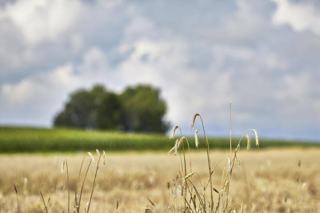 Vom Herrensteig zur Höll
