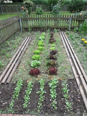 Lehrgarten Landwirtschaftsschule