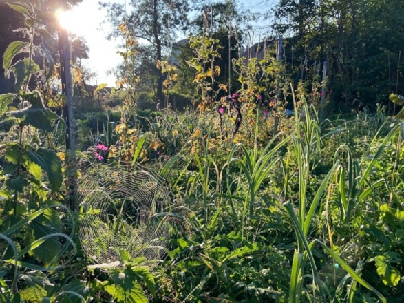 Kapellgarten Jaudenmühle