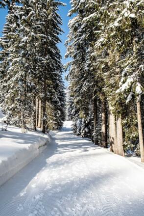 Winterwanderweg am Hörnlepass