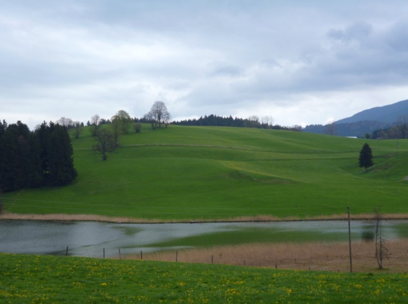 Der Biberschwöller See südlich von Steingaden.