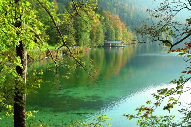 Alpsee