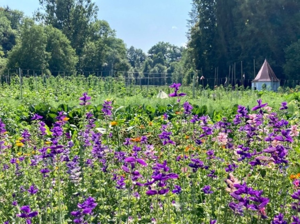 Kapellgarten Jaudenmühle