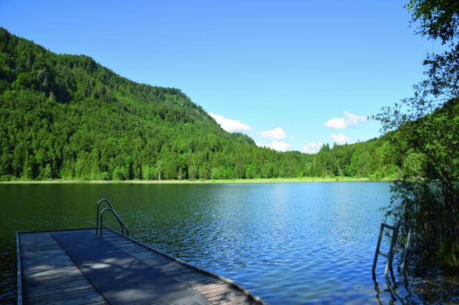 Schwansee