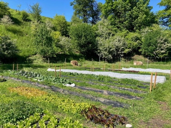 Kapellgarten Jaudenmühle