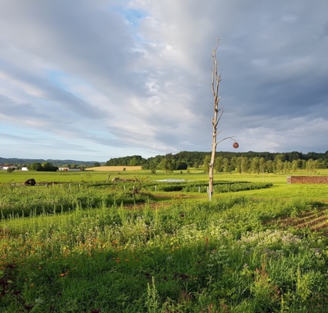 Hofgarten Pfaffenwinkel