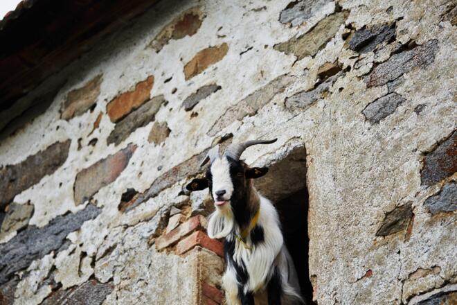 Müllerrundweg Reichenthal