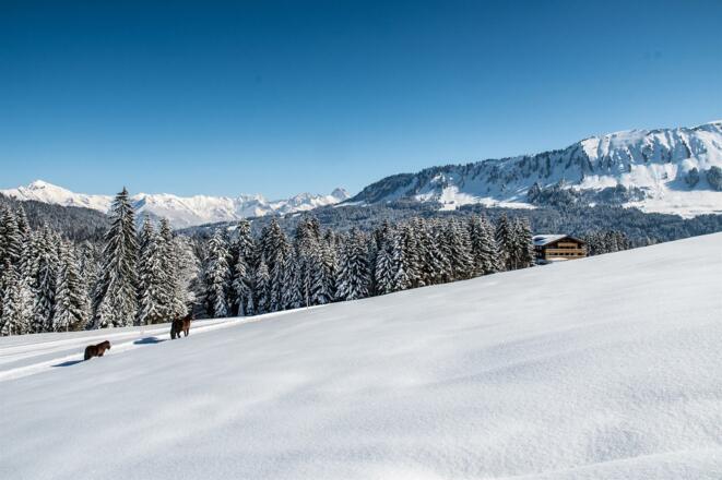 Winterwanderweg vom Hörnlepass Richtung Osterberg