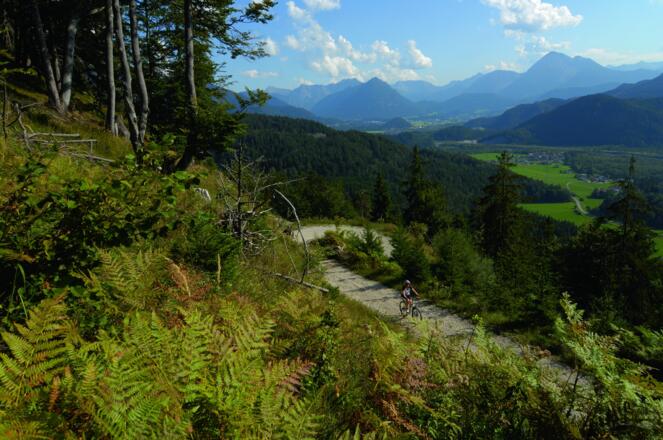 Dreiländereck zu Füssen Aussicht