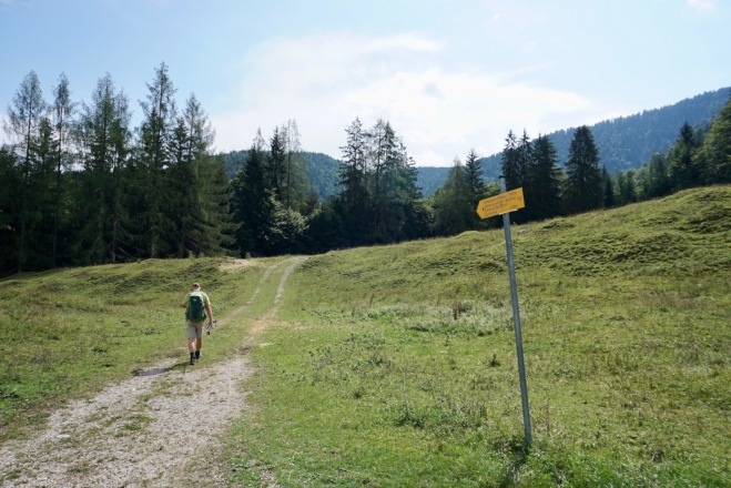 Weg zum Waldrand auf der Zwerchenbergalm