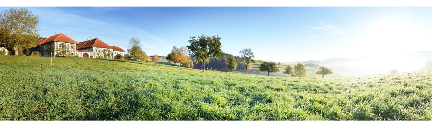 langzwettel%2cmuehlviertel02