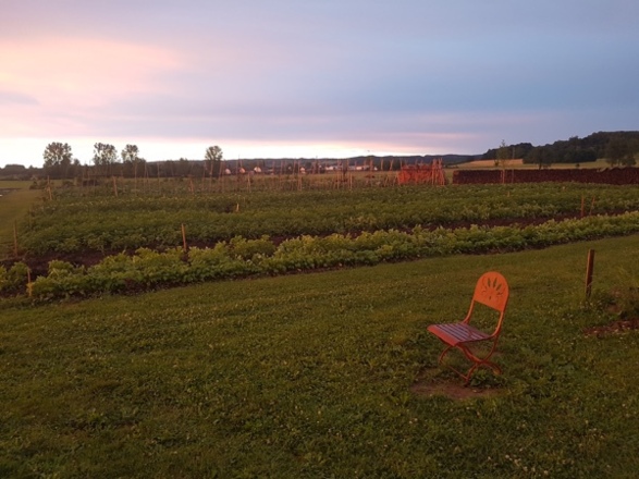 Hofgarten Pfaffenwinkel
