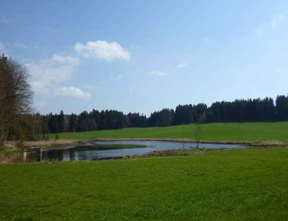 Der Badweiher östlich von Steingaden.