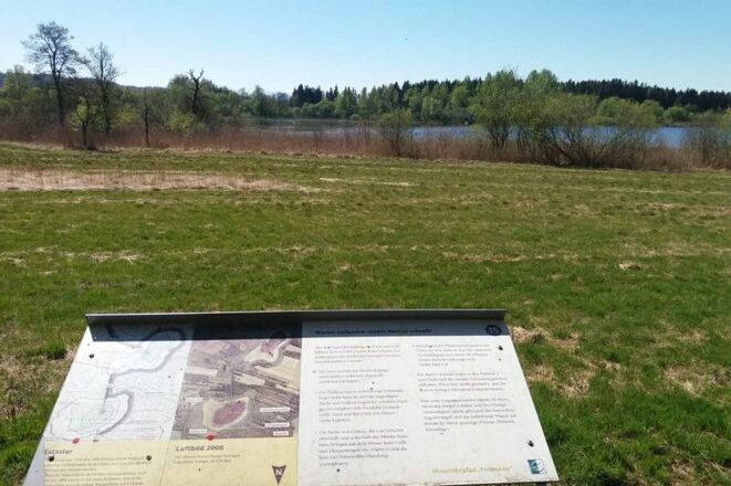 Verlandungszone Moorlehrpfad Freimoos mit Infotafel