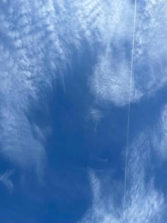 Eine Riesenüberraschung - Von den Irrwegen eines Bauern - Teil II