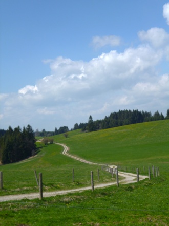 Durch saftig grüne Wiesen geht es von Resle zum Fronreitner See.