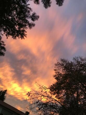 Eine Riesenüberraschung - Von den Irrwegen eines Bauern - Teil I