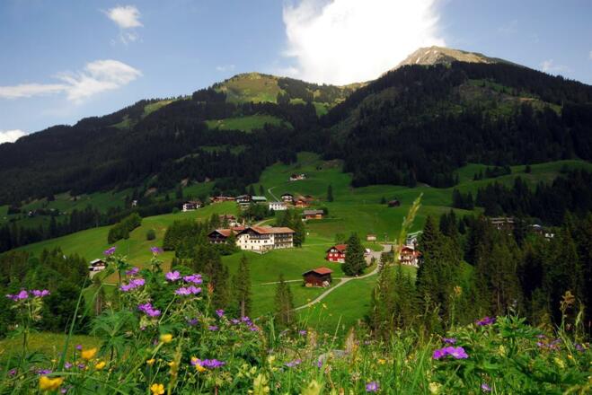 Gästehaus Wildbach Sommer