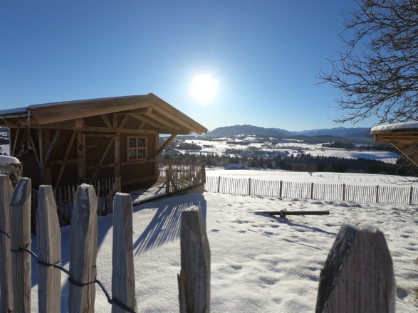 Schönegger Käsealm