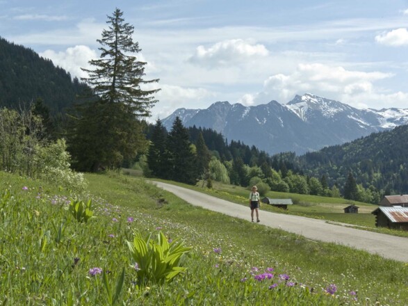 Auf dem Panoramaweg