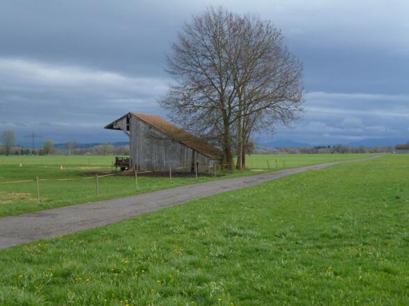 Vom Weg genießen Spaziergänger einen wunderschönen Blick auf die Berge.