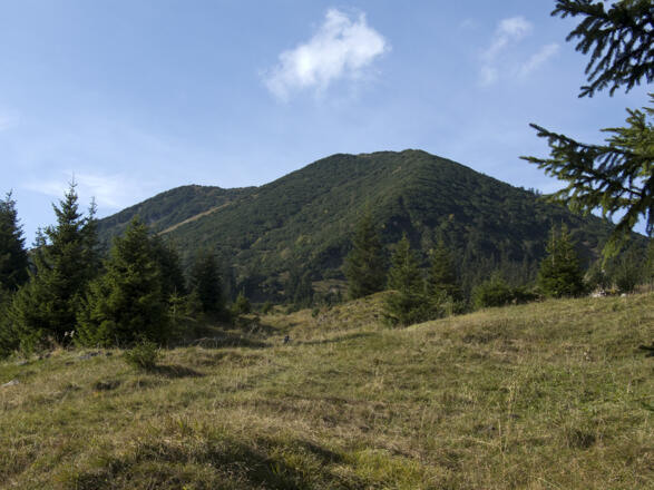 Vom Kotzenalm-Niederleger zeigt sich der Gipfelrücken des Kotzens.