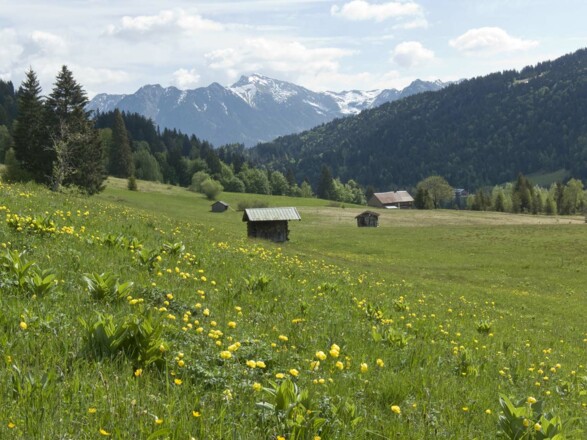 Frühling in den Allgäuer Alpen am Panoramaweg