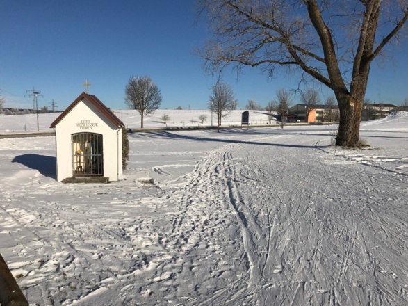 An der Loipe in Altenstadt