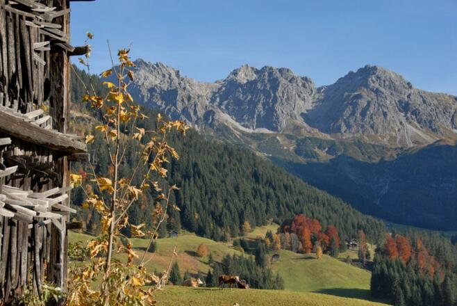 Ausblick auf die Schafalpköpfe