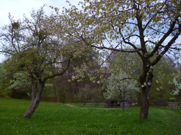 Ein Wiesenpfad führt am Weinbauer vorbei, bevor es steil hinunter nach Peißenberg geht.