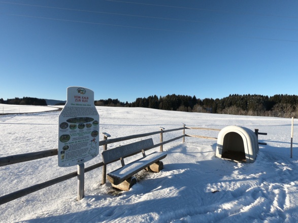 Winterwandern auf dem Milchweg