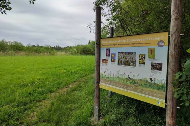 Es gibt jede Menge zu entdecken