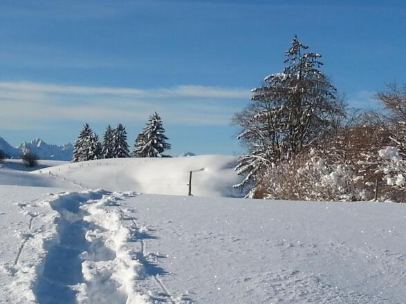 Auf dem Weg zum Mühleck
