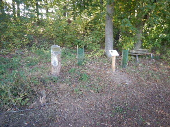 Klimawaldpfad zwischen Bastheim und Simonshof