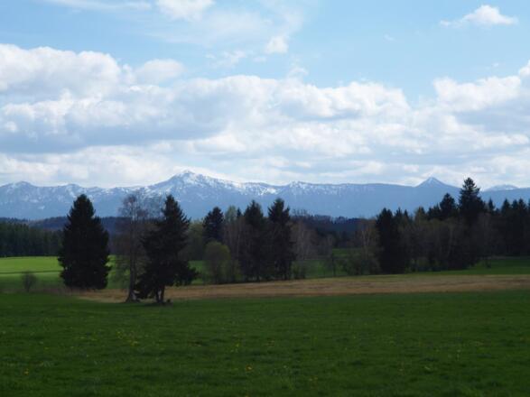 Begleitet von einem traumhaften Bergblick geht es von der Marienkapelle am Wolfbichl in Richtung Norden.