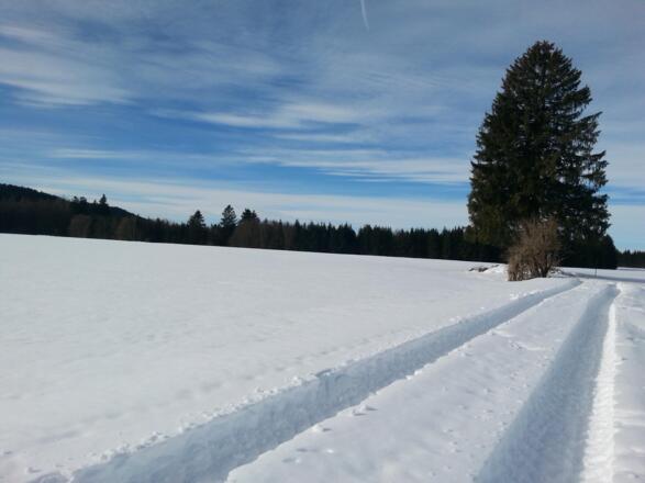 Auf dem Weg zum Mühleck