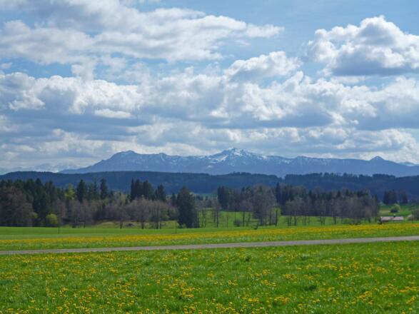 Panoramareich führt das schmale Sträßchen nach Reinthal.