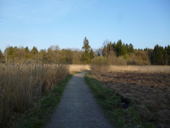 Ein schmaler Kiesweg führt durch das idyllische Moorgebiet südlich des Großen Ostersees und des Fohnsees.