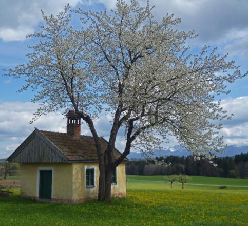 Die malerisch gelegene Kapelle im Weiler Reinthal.
