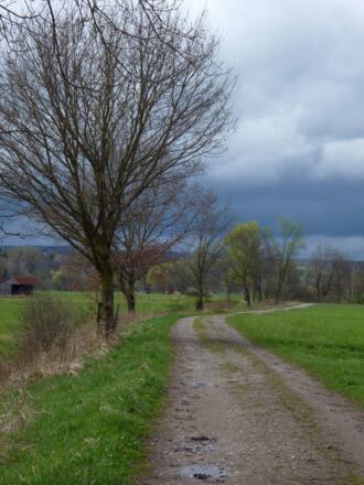 Idyllisch führt der Weg nun am Weidengraben entlang um den Ort.
