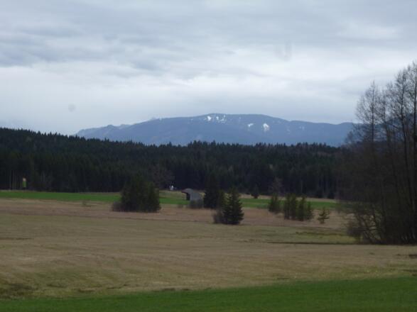 Entlang idyllischer Wiesen und Moore führt der Weg, begleitet von einem traumhaften Bergblick, von Huglfing nach Westen.