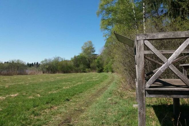 Aussichtspodest Verlandungszone Freimoos