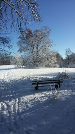 Winterwandern im Bernrieder Park