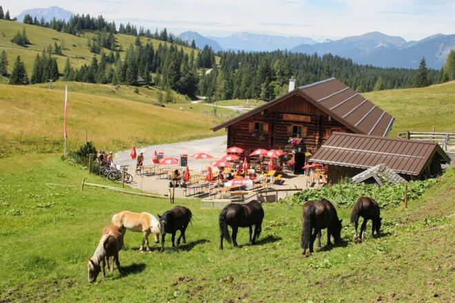 Die Edtalm im Sommer