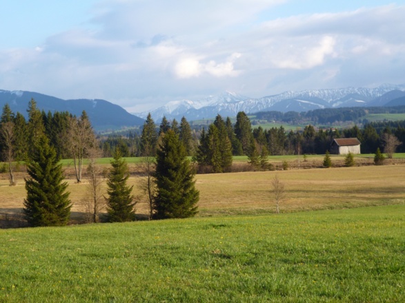 Traumhafter Blick über die saftig grünen Wiesen hinweg auf die Alpenkette.