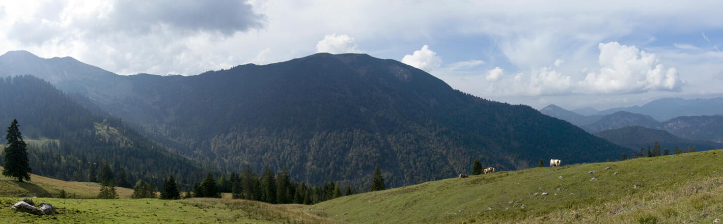 Panorama-Rückblick vom Lerchkogelalm-Niederleger zum Kotzen