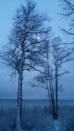 Winterwandern im Bernrieder Park