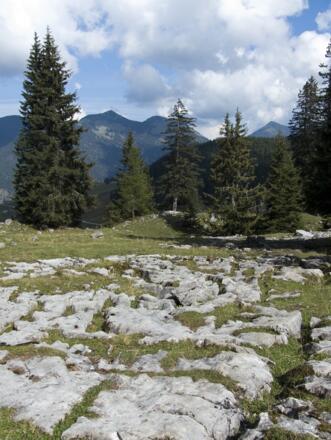 Karren bei der Ludernalm