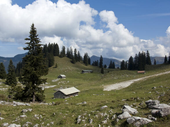 Der Abstieg führt an der malerisch gelegenen Ludernalm vorbei.